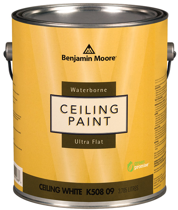 Waterborne Ceiling Paint