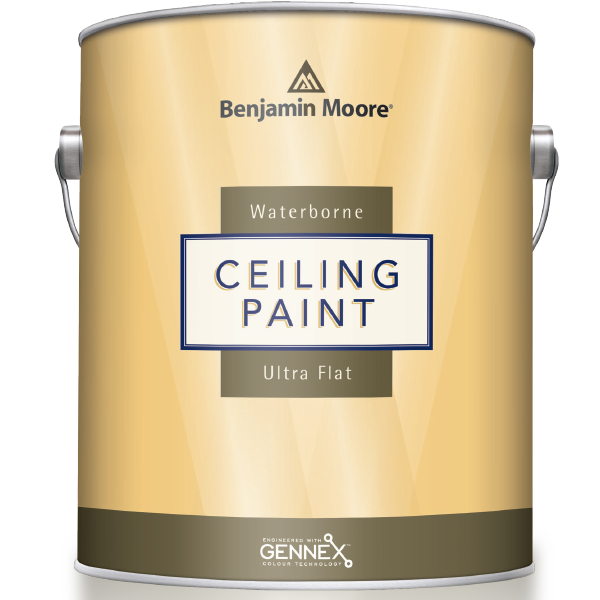 can of waterborne ceiling paint