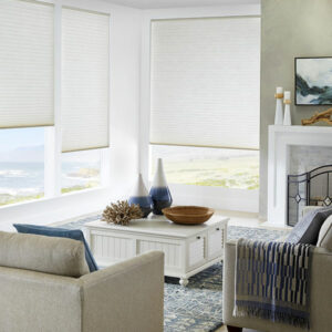 image of cellular shades in living room