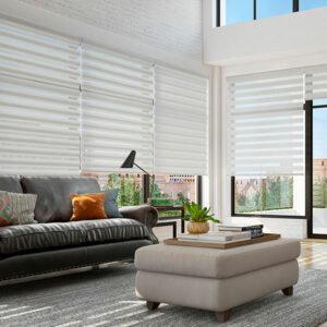 living room featuring white dual shadings