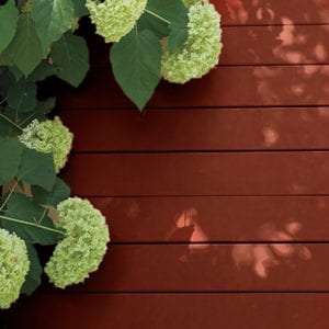 maxum stain cedar deck
