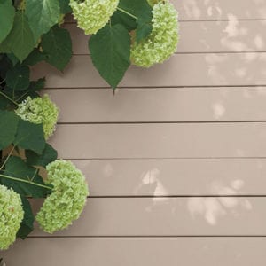 maxum stain taupe deck