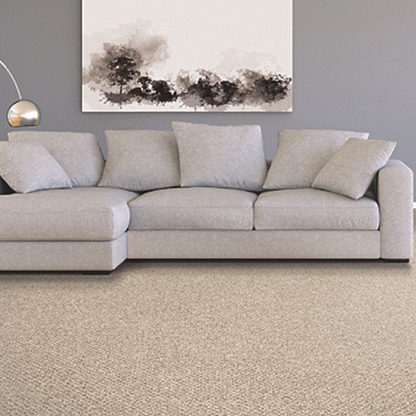 room scene showing cozy classic carpet