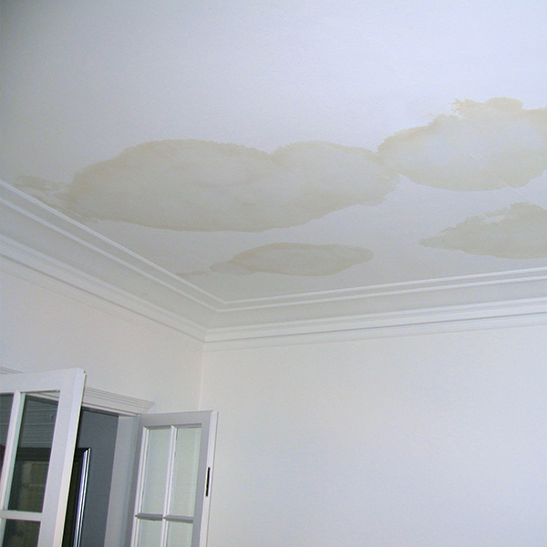 How to Paint a Ceiling Paint Shop Tips & Advice